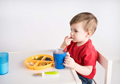 Nalaire Divided Plate, Baby Toddler Kid Plate, Snack Plate, with lid, Removable Fruit Insert, BPA Free, Microwave - Dishwasher Safe - 2 pack (Green/Orange)