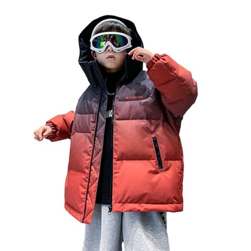 [Taopagii] _EEFA _EWPbg {[CY g WjA ȃR[g AE^[ j̎q ̎q q ~ t[ht h ̉z H h ϊ V AEghA EC^[ 170cm