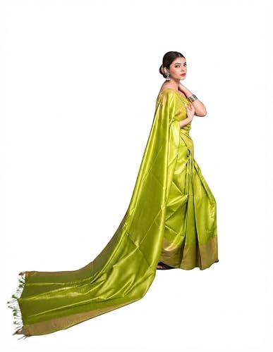 Silk Zone gold bhagalpuri silk saree in organza silk – image 3