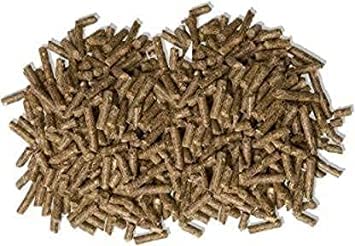 KAPOOR ENTERPRISE Rabbit Food 1 kg Dry New Born, Adult, Young Rabbit Food