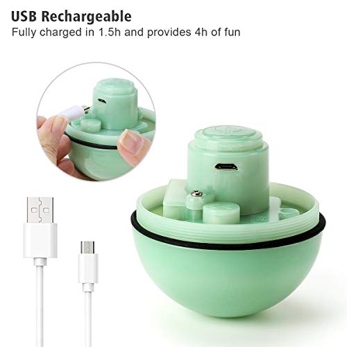 Interactive Cat Toys Ball with LED Light,360 Degree Self Rotating Ball,USB Rechargeable Cat Ball Toy,Stimulate Hunting Instinct Kitten Funny Chaser Roller Pet Toy (Green)