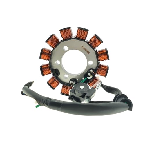 Bobine d'allumage et stator complet pour moteur 110 V IF 100 cm³