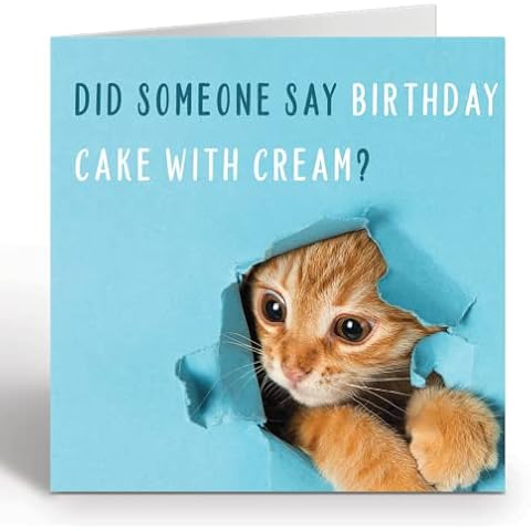 Funny Cat Birthday Card for Him or Her - Humour Birthday Card With Orange Envelope - Eco Friendly Card By Giggle Greetings Cover