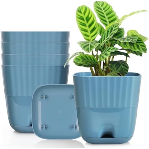 Sinolodo 6 inch Plant Pots Set of 5 Square Plastic Flower Pots for Indoor Plants, Small Nursery Pots Containers for House Garden Plants with Drainage Holes and Connecting Saucer Tray (Lake Blue) Cover
