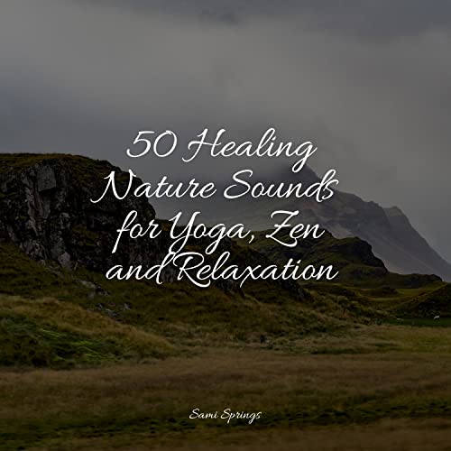Play 50 Healing Nature Sounds for Yoga, Zen and Relaxation by Best Kids ...