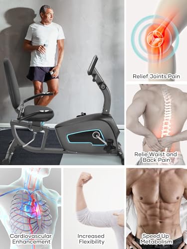 Bodioo Recumbent Exercise Bike For Home Stationary Bike Sturdy Quiet 8 Levels Exercise Bike Large Comfortable Seat Heart Rate Handle & Device Holder 300 Lb Weight Capacity thumb #4