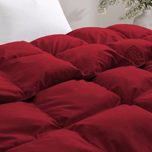 Image of Heavy Winter Comforter Single Size 60 inchX90 inch | 600 GSM Fill for Winter Comforter /Rajai /Duvet /Blanket Hotel Luxury Soft Fluffy Single Size - Burgundy Color