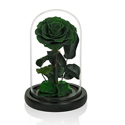 NATROSES Christmas Birthday Gifts for Women Handmade Preserved Roses in Glass Dome Black Roses Roses Preserved Flowers Gifts for Mom Mothers Day Flowers product thumbnail 11