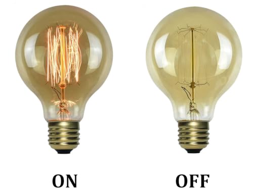 Image of fizzytech G80 LED Edison Globe Bulb, Super Bright Warm White Light (3500K), E26 /E27 Standard Base, Clear Glass Decorative Lamp for Home, Bedroom, Living Room & Cafe - Pack of 1