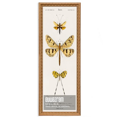 euwazram Ornate Classic Gold 12x36 Picture Frame with Raised Leaf Border by euwazram - Used condition - US$47.30
