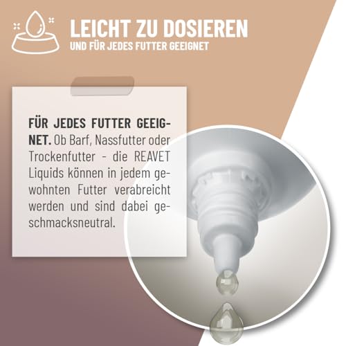 ReaVET Magen & Darm Tropfen Liquid für Katzen 50ml - sekundierend bei Durchfall oder Blähungen, natürliche Darmregulierung, Darmsanierung Katze, unterstützt die Darmflora