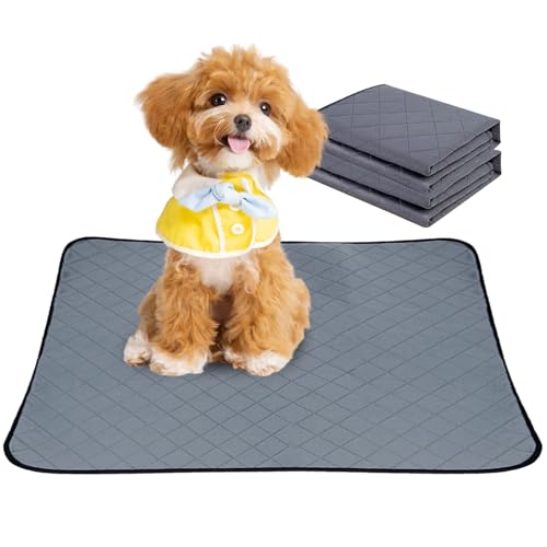 2 tappetini per cuccioli lavabili – 75 x 55 cm PIPI per cani, impermeabili, antiscivolo, per cani, ad assorbimento rapido, per divano e pavimento, auto, viaggi