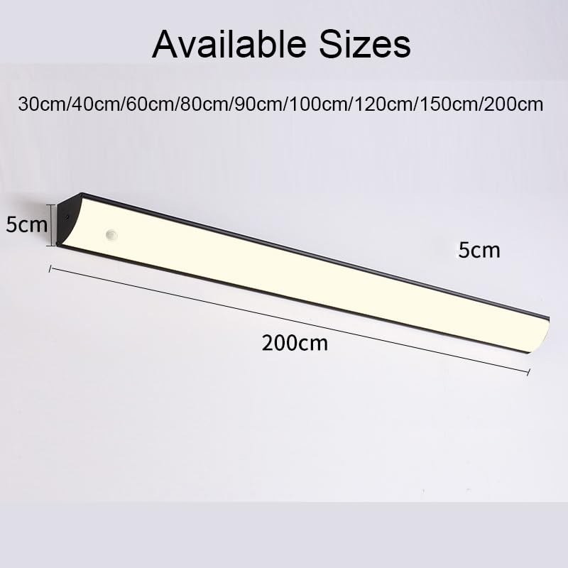 Applique extérieure LED dimmable 40cm avec télécommande IP65