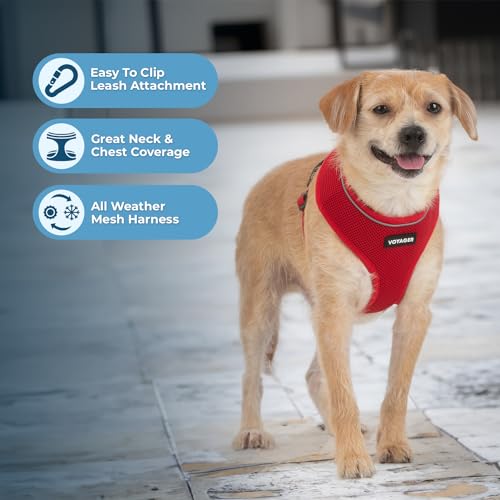 Image of Best Pet Supplies Voyager Aerolite Over the Head Dog Harness, No Pull Breathable Air Mesh Vest, Quick Dry with Reflective Stitching, Adjustable Escape Resistant Harness - Red, Medium