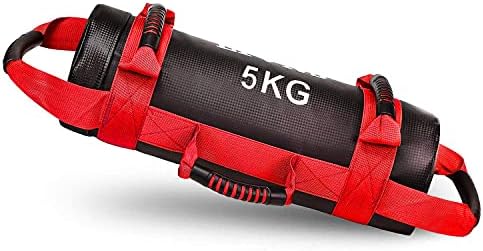 Lions 5kg/10kg/15kg/20kg/25kg Filled Weight Sand Power Bag Strength Training Fitness Crossfitt Running Workout Bags (5kg, Red)
