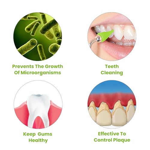GumPick Durable Rubber Toothpick Dental Gum Massager & Stimulator - Premium Quality Gum Rubber Tip Refill for Proper Oral Care - Promotes Healthy Gums & Strengthens Gum Tissue - Pack of 6 (Green)