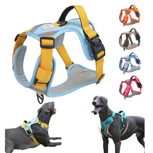 yVozp n[lX, ̎ pbhxXg, ˍޕt ^/^/^ L U/P/o|/ ybg ́[˂ Ȃ y EȒP \ ʋC iJ[8jiTCYLC1j