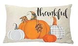 ZYCH Happy Thanksgiving Plaid Pumpkin Cotton Linen Square Throw Pillow Case Cushion Cover 12 x 20 Th
