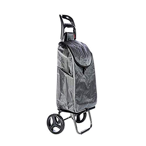 Chariot à provisions pliable pour soulager le dos pendant vos courses