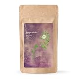 Kanna Extract Co. Plant-Based Botanical Capsule Format | Lab Verified | Ethically Sourced | 20 Count