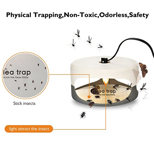 Alnicov 10 Stück Flohfallen-Aufkleber, rund, klebrige Fliegenfallen, Kuppel, Flohfalle, Nachfüllung für Zuhause, Schlafzimmer, Haustierhaus