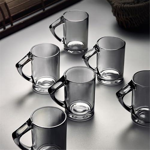 Tazas de vidrio con asa que no queman para café e infusiones 8 oz 6