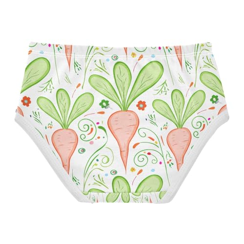 Colorful Carrots Radishes Leaves Toddler Girls's Underwear 2T 202c11932