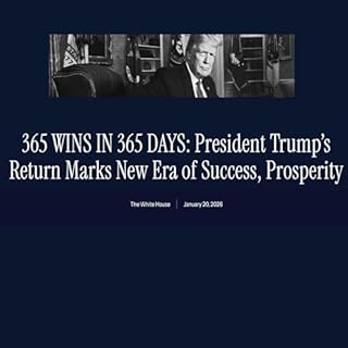 365 Wins in 365 Days cover art