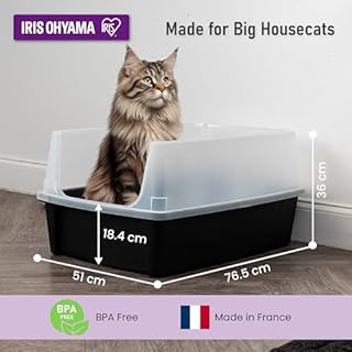 Iris Ohyama Bac à Litière Chat XL Ouvert, Maison de Toilette pour Chat sans Couvercle, Parois Hautes Anti-Projections, Grand Bac Nettoyage Facile, pour Grands Chats, Chatons, Litière XXL
