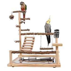 Wellensittich Spielplatz Vogel-Spielplatz mit Feeder-Cup Spielzeug Leiter Erklimmen Schaukel und Tablett für Nymphensittich Papageien Wellensittiche, Holz, Größe 45x37x26 cm #A
