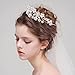 Elegant Tiara Crown for Women, Crystal Rhinestone Headband Hair Accessories Princess Tiara Wedding Bridal Cubic Zirconia Headpiece for Proms Pageants Party (Silver Flower)