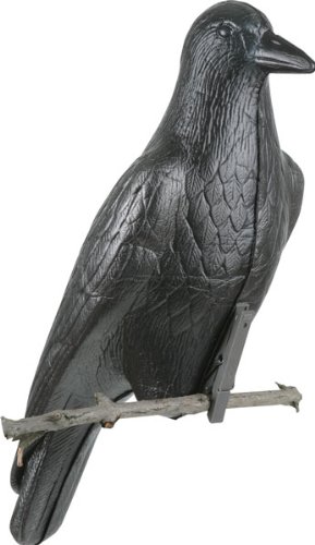 Flambeau Predator Foam-Crow-6 Pack Decoy