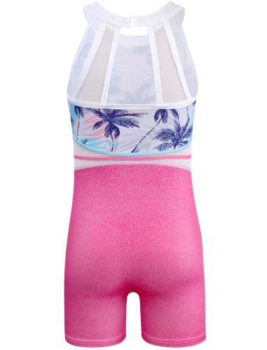 Image of HOZIY Leotards for Girls Gymnastics Kids Children Biketard Snowflake Ribbon Blue Purple Hot Pink Sparkle