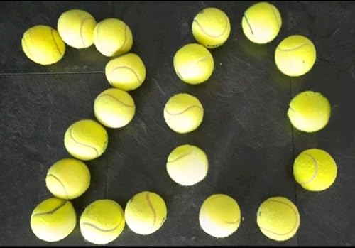 Generisch 20 gebrauchte Tennisbälle verschiedener Hersteller!