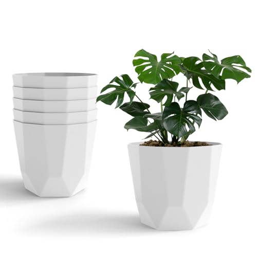 Image of YUCCABE ITALIA SHERA Hexa Plastic Planter Pot for Plants | Decorative Flower Pot | UV Protected Lightweight Indoor Outdoor Gamla for Home Decor, Balcony, Garden & Living Room