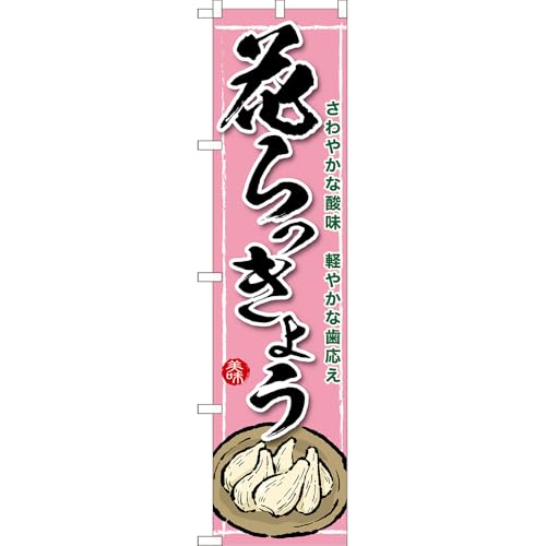 X}[ĝڂ Ԃ傤 ₩Ȏ_ y₩Ȏ  isNj mTNS-1648n i󒍐YELZsj