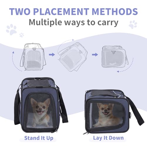 Petsfit Transporttasche Katze & Hundetasche Flugzeug | Flugtasche für Hunde & Transportbox Katze | Flugtaugliche Haustiertasche | Sicherer Transport in Auto, Flugzeug und Bahn, M/Blau