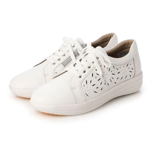 [AgG] 3E [U[JbgfUCXj[J[ zCg 23.5