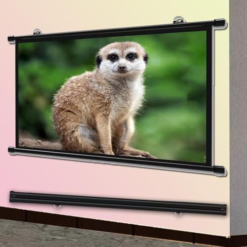 Pantalla de proyector manual portátil 4:3 60 pulgadas miniatura 6