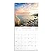 Psalms Featuring Scripture From the King James Bible: A 2025 Inspirational DaySpring Wall Calendar