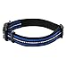 Mile High Life Reflective Dog Collar | Nylon Pet Collars wiith Buckle | Light Weight Puppy Collars | Blue Dog Collars for Small Dogs (Blue, S)