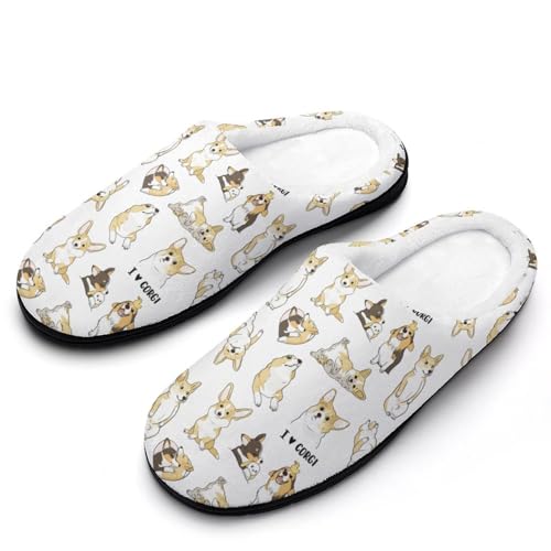 [ZKCASA] Xbp R[M[   [V[Y   qp h  g 􂦂 ~ jp I[V[Yp 9-10i40-41j