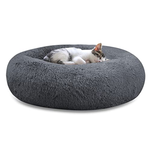 Top 10 Dog Beds For Seniors of 2022 Katynel