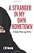 A Stranger In My Own Hometown: A Brendan O'Brian Legal Thriller (Brendan O'Brian Legal Thrillers)