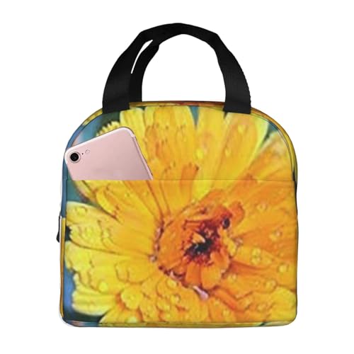 ۗ⃉`obO e h MRh~ ŏv ʋ΁AʊwAAEghAɕ֗ jp (J̌̉F̋e)