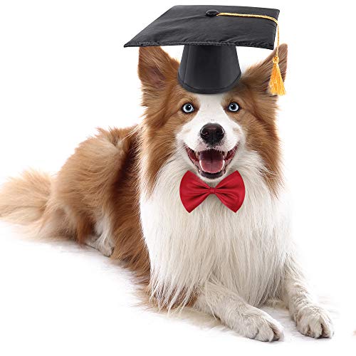 Benbo 2 Pcs Pet Graduation Caps With 2 Pcs Bow Tie Necktie Collar And 40Pcs Hair Clips For Dogs #TOP6