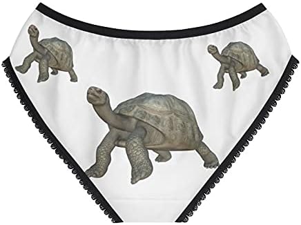Galapagos Tortoise Panties, Galapagos Tortoise Underwear, Briefs, Cotton Briefs, Funny Underwear, Panties For Women