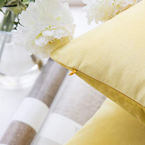 Image of Phantoscope Pack of 2 Velvet Decorative Throw Decorative Pillow Cover Soft Solid Square Cushion Case for Couch Yellow 12 x 20 inches 30 x 50 cm