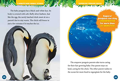 National Geographic Kids 5-Minute Baby Animal Stories 4