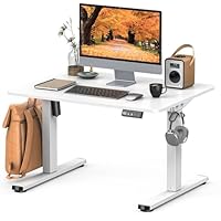 電動昇降デスク ロータイプ 幅100cm 奥行60cm 高さ48-72cm ErGear 電動昇降式 ローデスク 高さ48-72cm コンセント付き 高さ